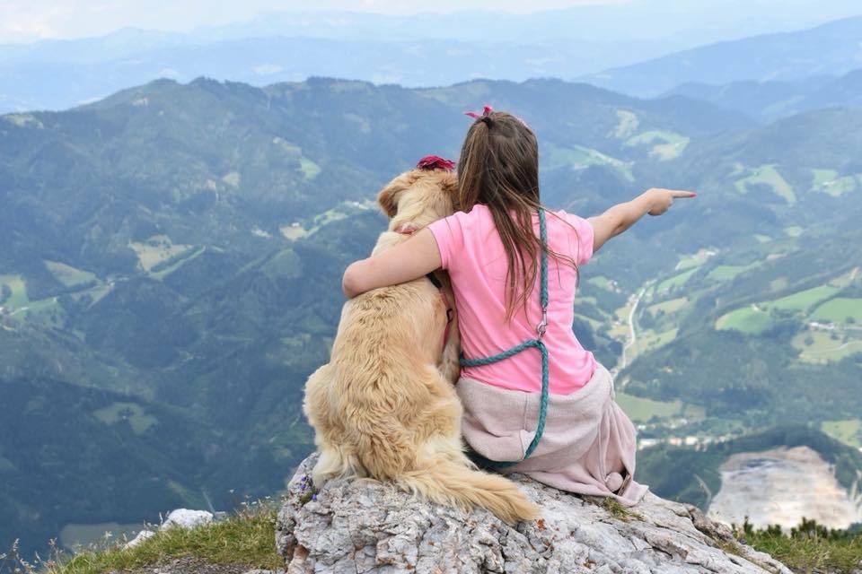 Shared challenges and experiences contribute to a strong human-dog bond