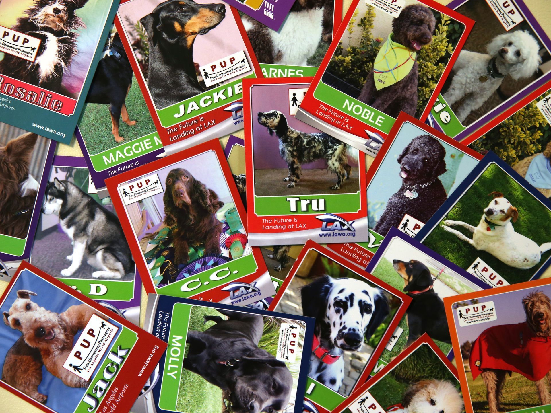 The LAX therapy dogs' business cards