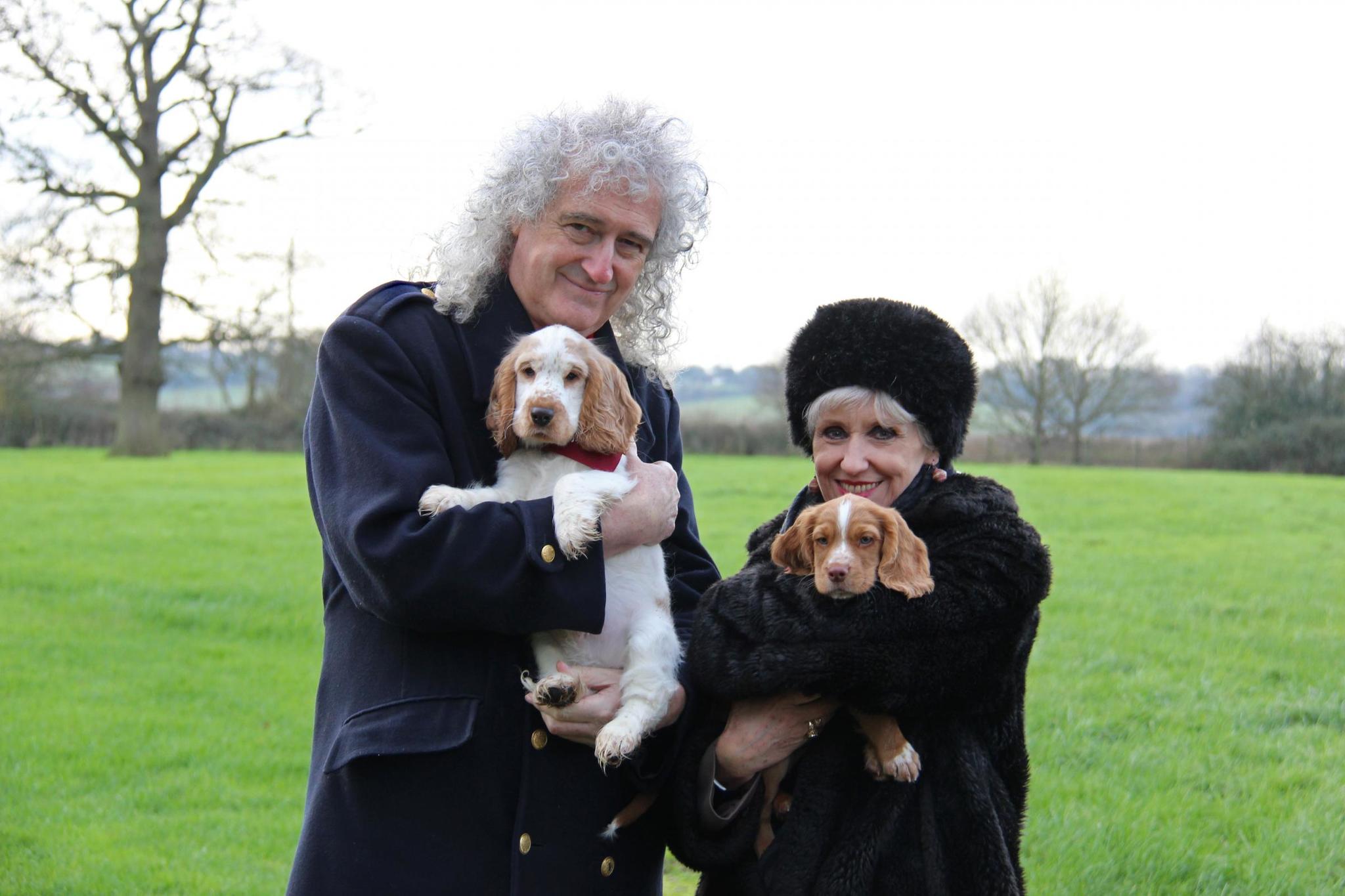 Brian May and his wife Anita Dobson with the Cocker Spaniel puppies