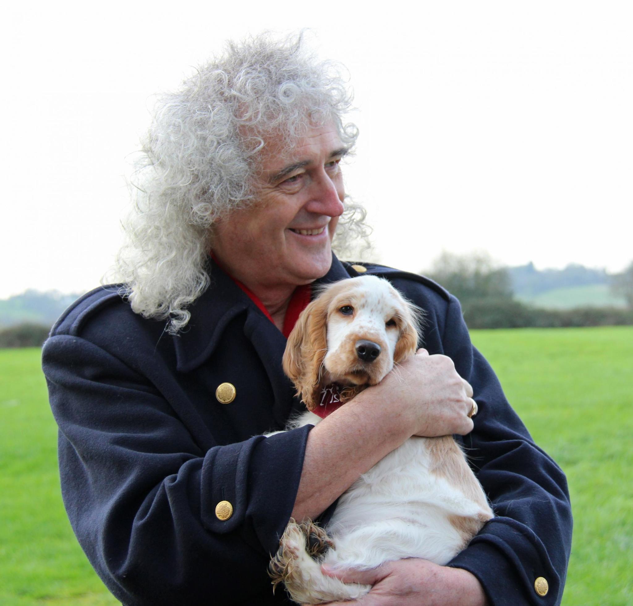 Brian May and Ralph, the 10-week-old Cocker Spaniel puppy