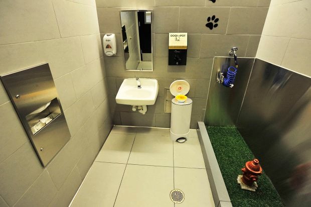 Special toilet for pets at JFK Airport