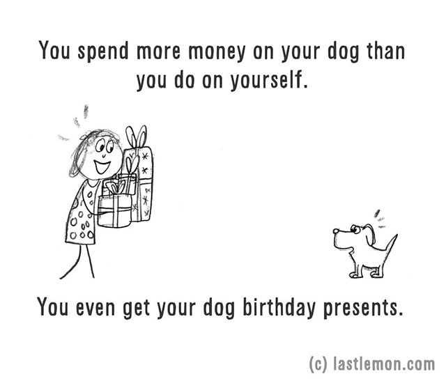 You spend more money on your dog than you do on yourself.