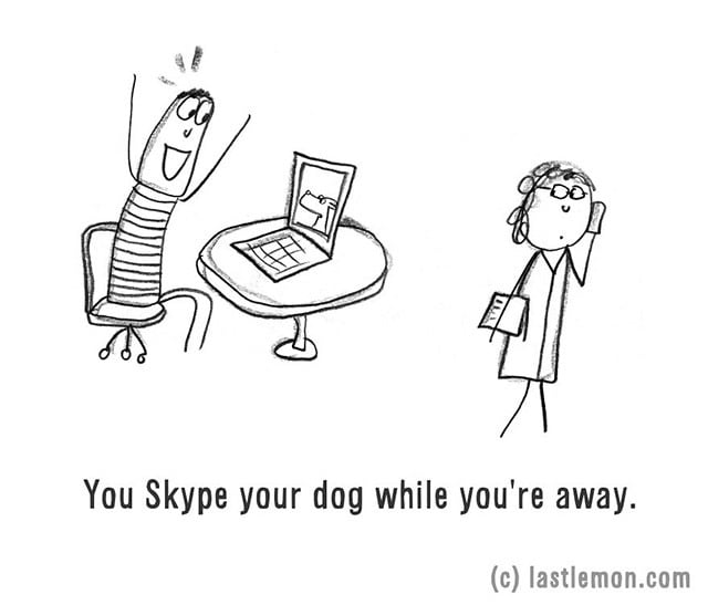 You Skype your dog while you're away