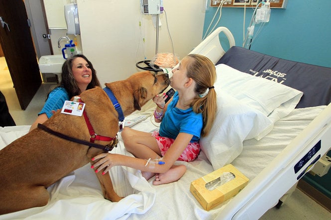 The help of therapy dogs is priceless for patients