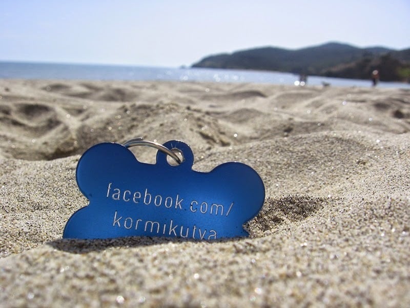 Kormi’s name tag - Visit her Facebook-page for more photos