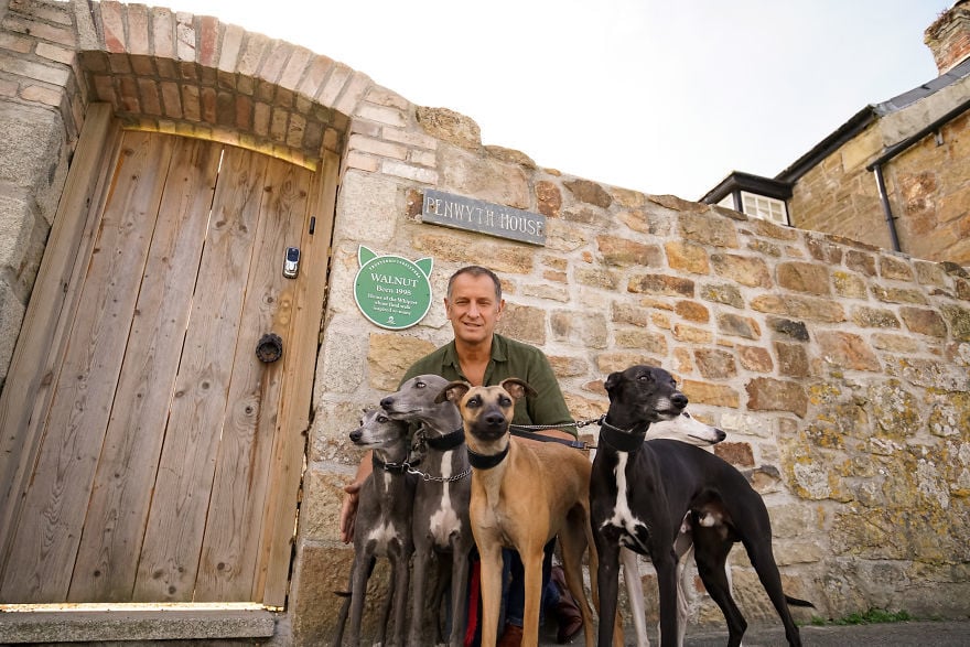Walnut the Whippet - Starting with an open invitation from his owner, Mark, for fellow dog lovers to join them on their final walk, Walnut’s story warmed the hearts of a nation. From across the country, hundreds of two and four-legged friends travelled to