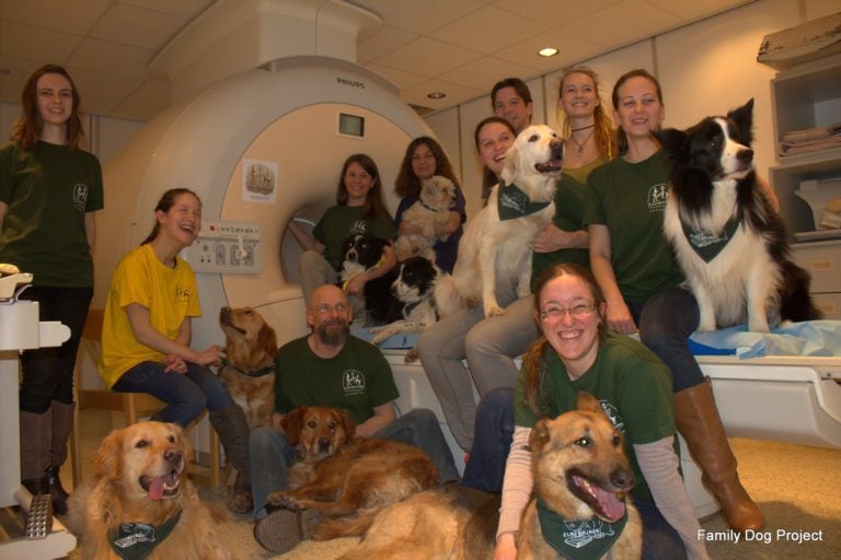 Trainers and dogs around the fMRI scanner 