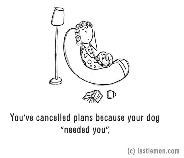 You have cancelled plans because your dog needed you