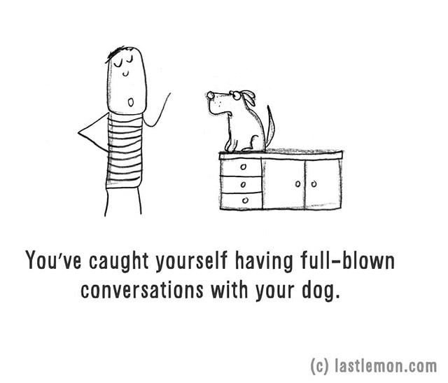 You've caught yourself having full-blown conversations with your dog.