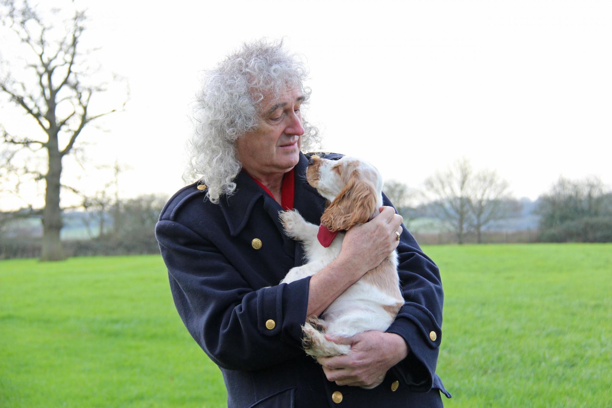 Brian May and puppy Ralph quickly became friends
