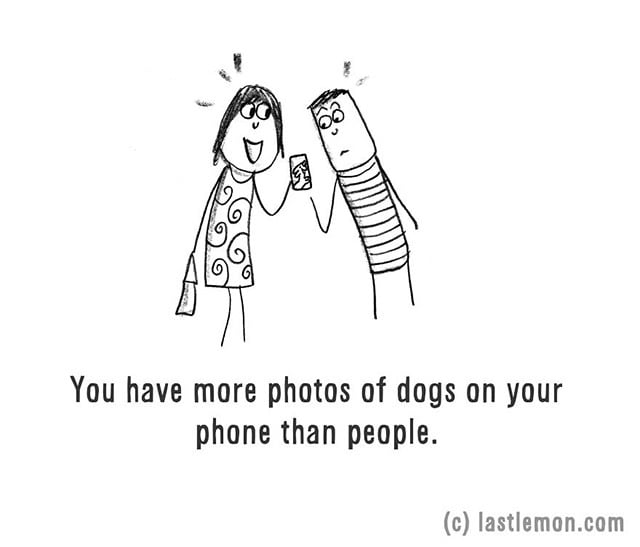 You have more photos of dogs on your phone than people.