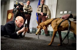 This Hungarian Vizsla is the Minnesota Capitol's new bomb-sniffing dog