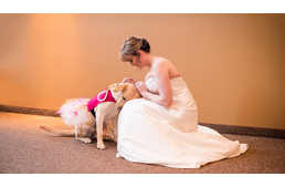 A touching photo of a bride and her service dog