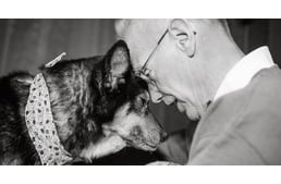 Senior volunteer adopts dying dog
