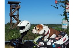Dog On Motorcycle – Italy through the eyes of a motorcyclist and his awesome dog