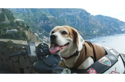 Dog On Motorcycle – Italy through the eyes of a motorcyclist and his awesome dog – Part 3.