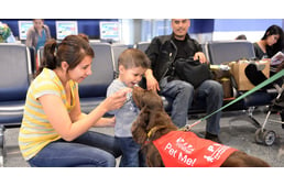 Relax with therapy dogs before your flight