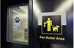 Dogs get to use their own bathrooms at JFK airport
