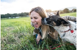 Why does your dog lick you?
