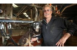 ‘World’s oldest dog’ Maggie the Kelpie dies