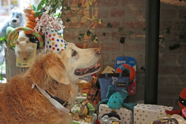 Bretagne received wonderful gifts for her 16th birthday