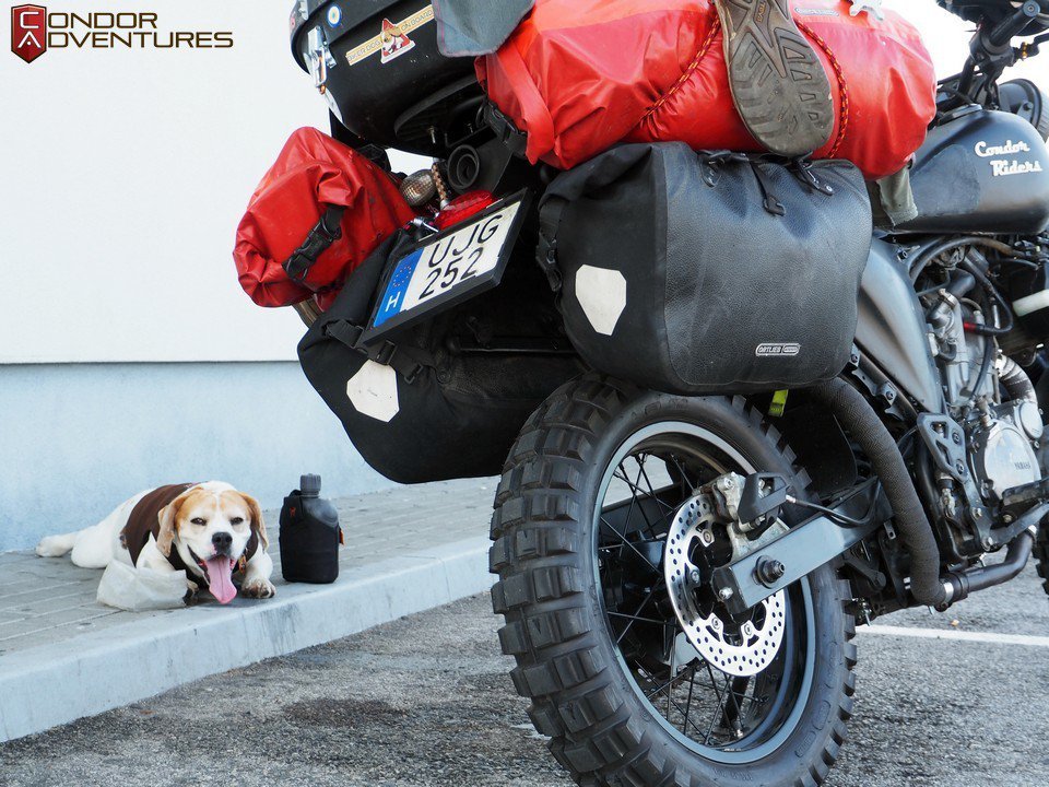 Dog On Motorcycle – Italy through the eyes of a motorcyclist and