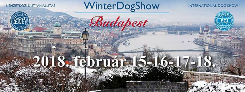 WinterDogShow Budapest 2018