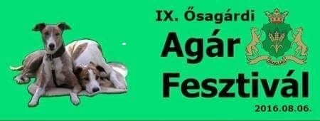 IX. Ősagárdi Agárfesztivál / Sighthound Festival