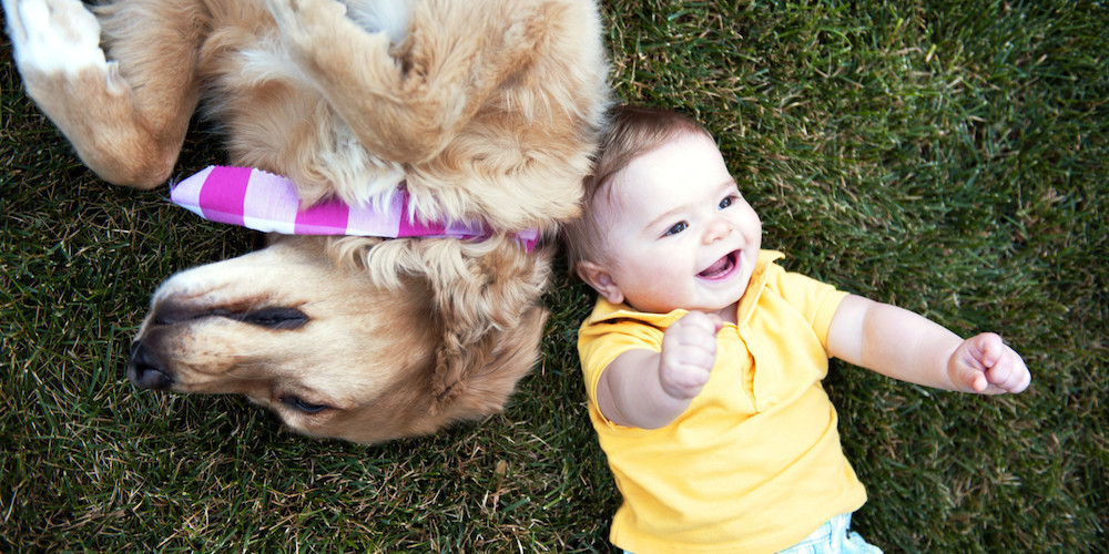 Love and acceptance are essential for a happy relationship with your dog 