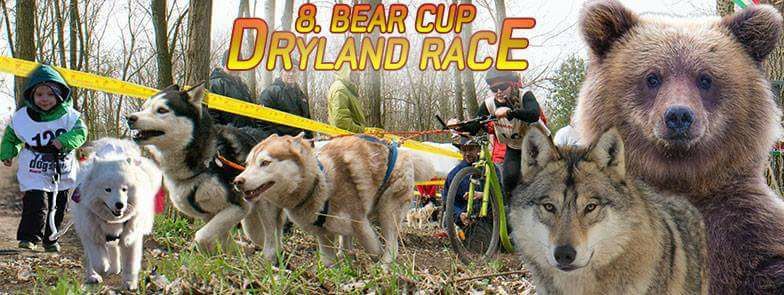 8. Bear Cup Dryland Race
