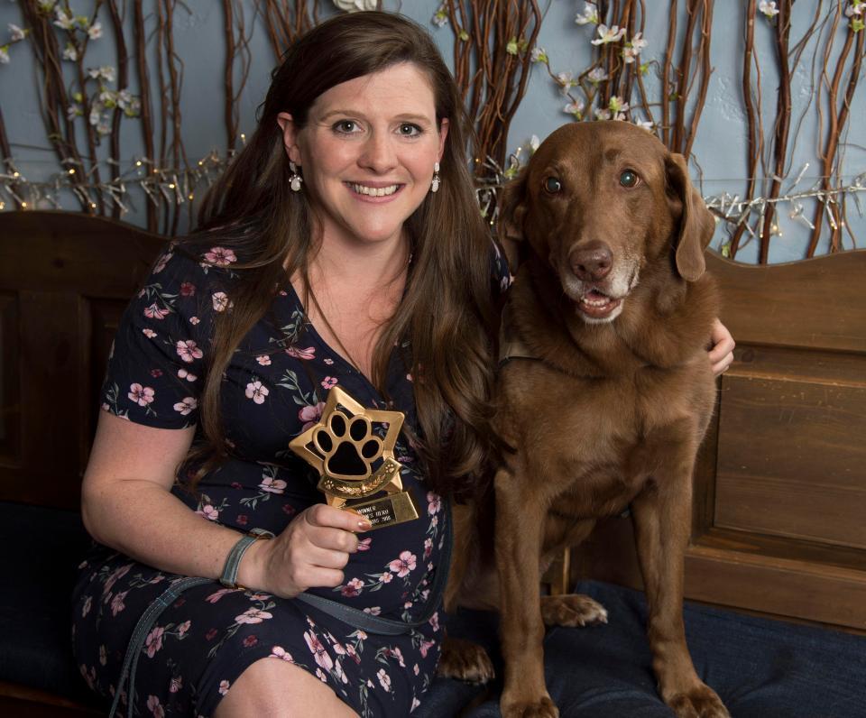 Keda the Labrador - Having served for three years in Afghanistan, saving lives by searching for buried landmines, Keda is a decorated military dog. She now aids service men and women back home by working with her owner, Susie, at a Personal Recovery Unit.