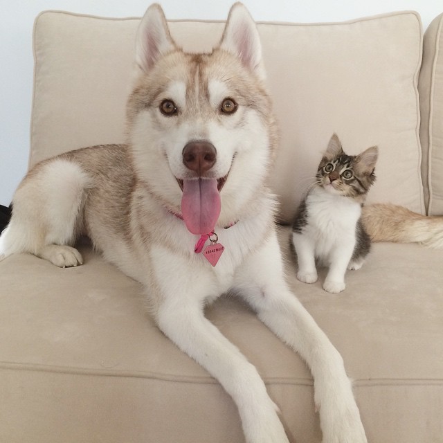 Lilo and Rosie smiling to the camera