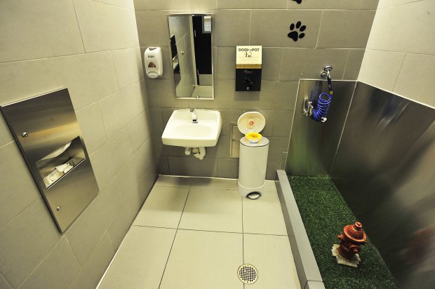 Special toilet for pets at JFK Airport