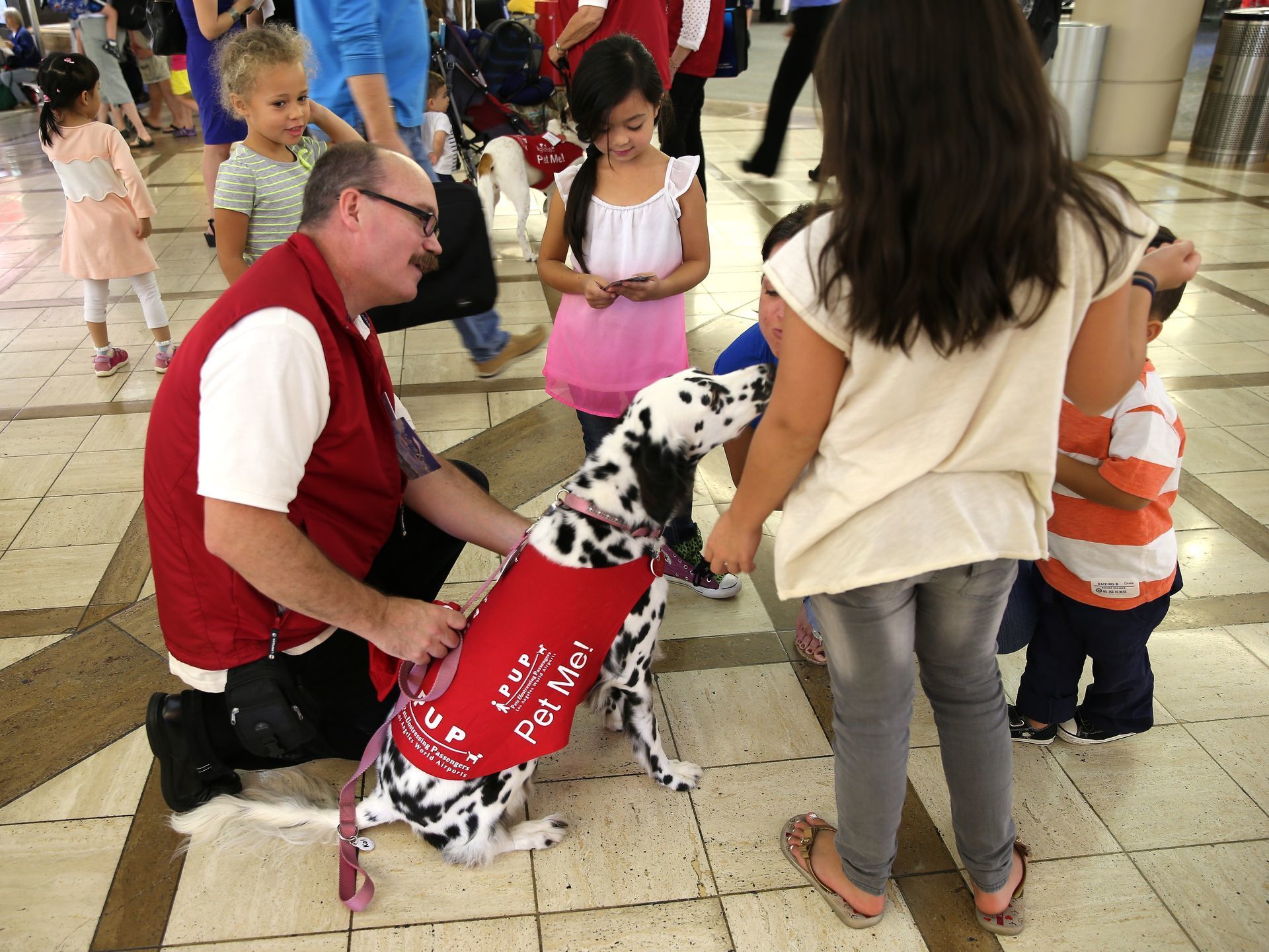 Kai, the long-haired Dalmatian always cheers up chilren at the LAX airport