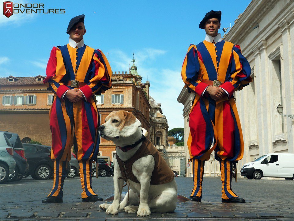 Brigi and the Swiss Guard