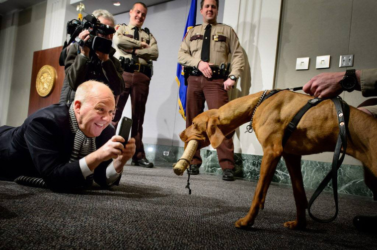 Matka, the Vizsla lady cheered up people at her welcome party