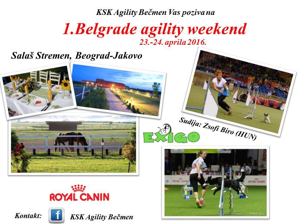  1. Belgrade Agility Weekend