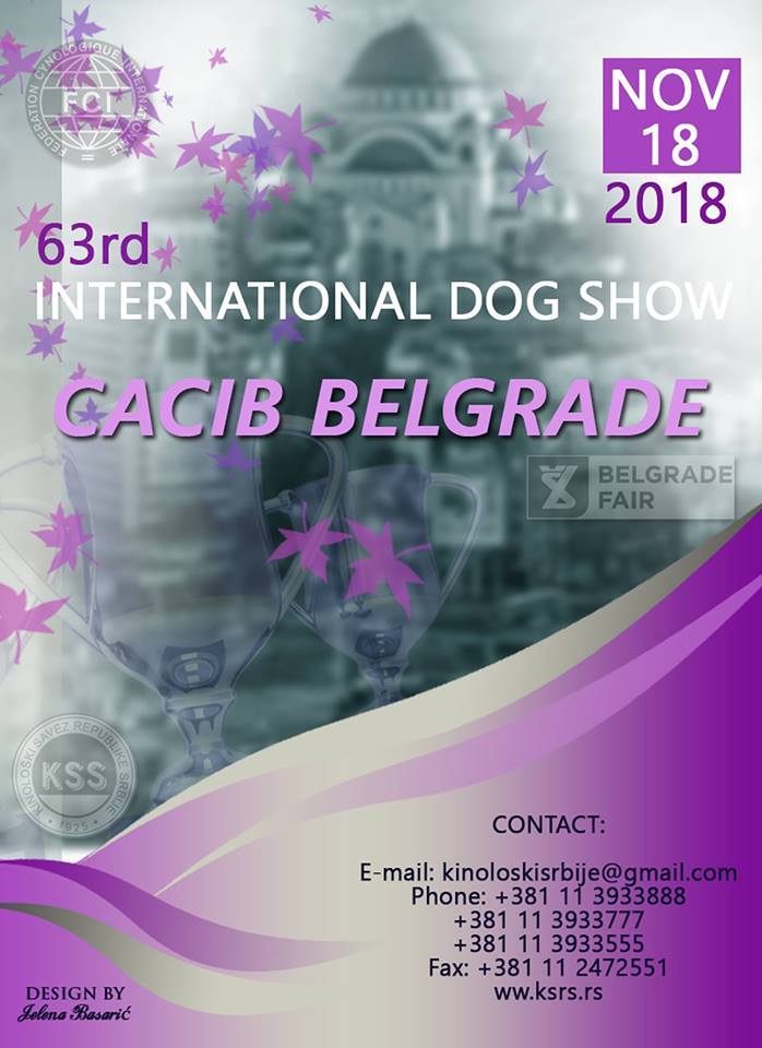 63rd International Dog Show CACIB Belgrade