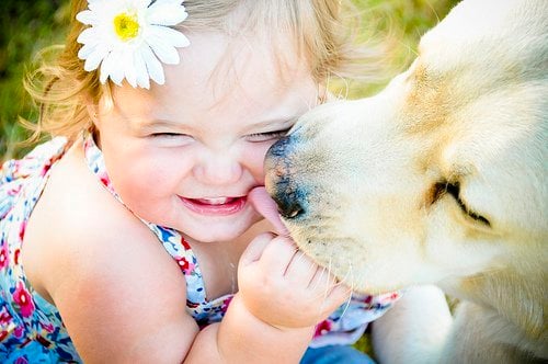 The fact, that dog saliva helps people to heal is true.