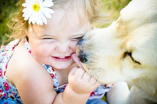 The fact, that dog saliva helps people to heal is true.