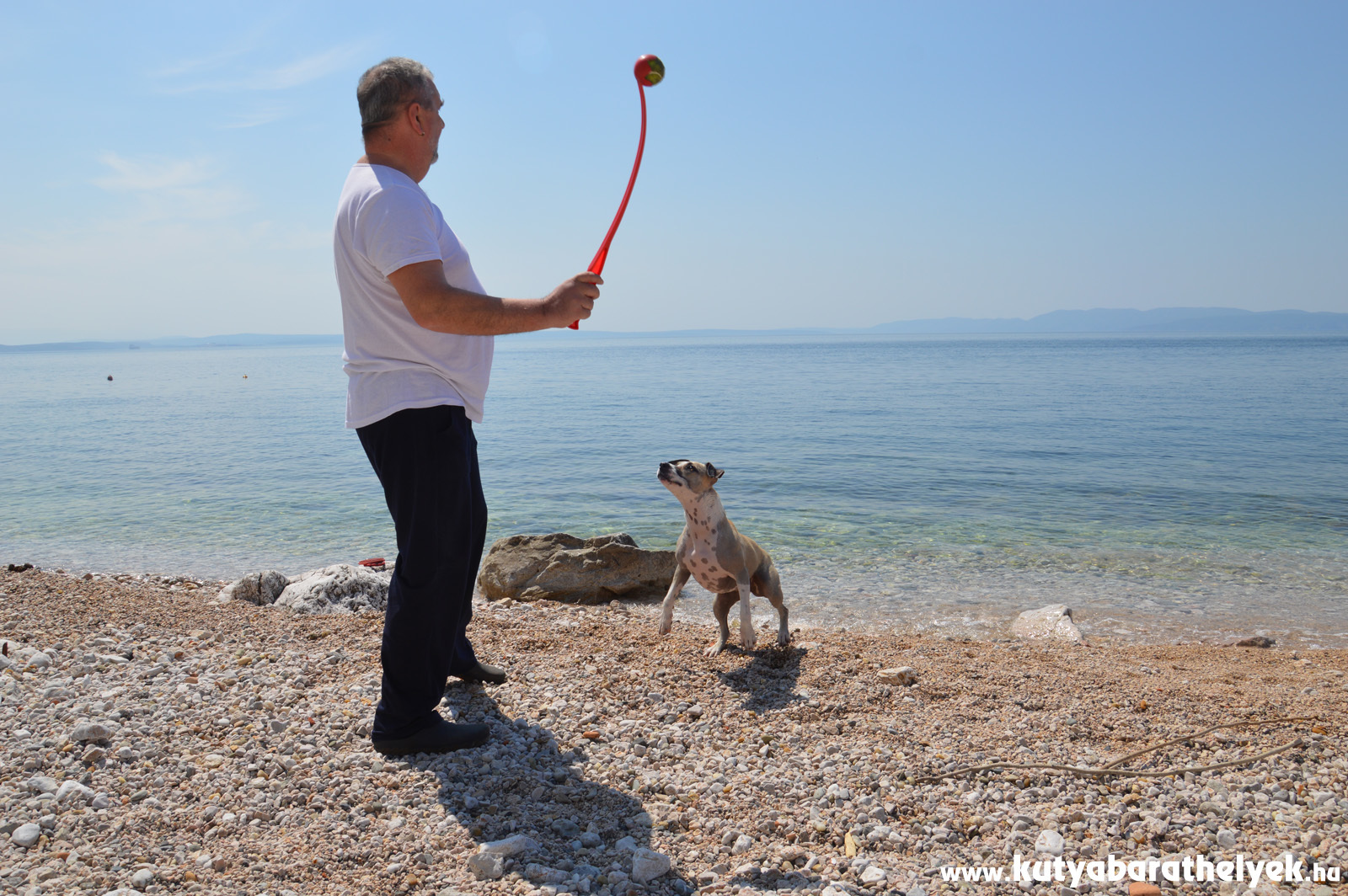 A fiumei kutyás strandon apró kavicsos part várja a kutyásokat