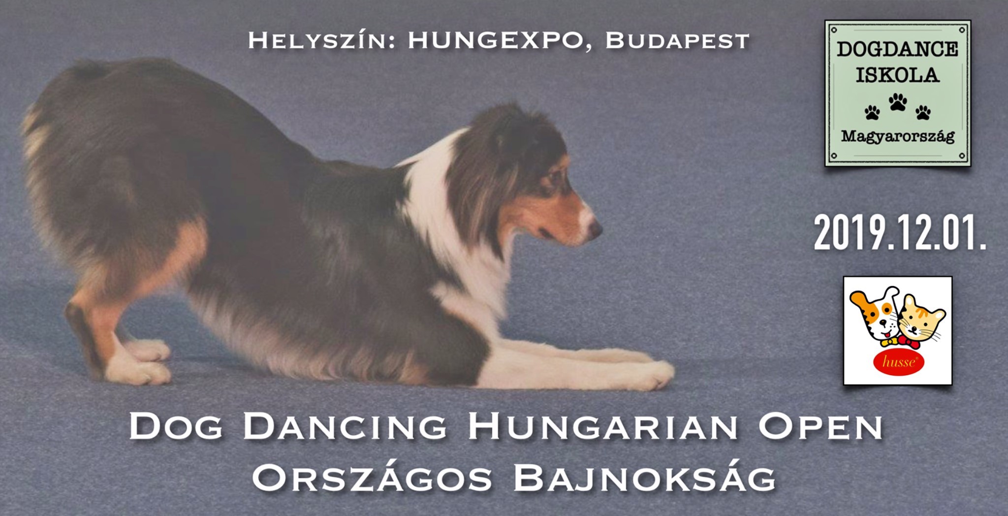 Dog Dancing Hungarian Open és Országos Bajnokság 2019