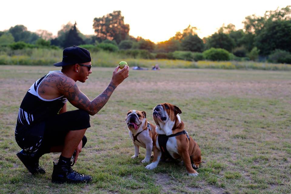 Lewis Hamilton with his Bulldogs: Coconut and Roscoe