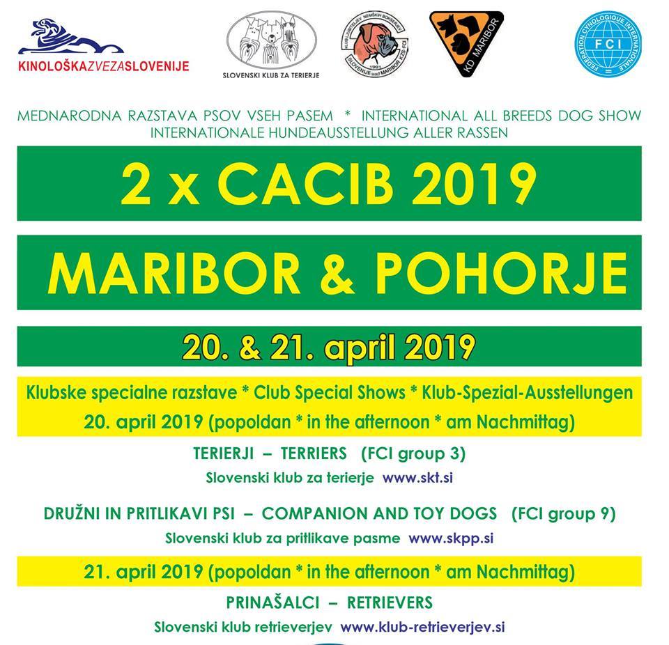 Maribor &amp; Pohorje CACIb 2019
