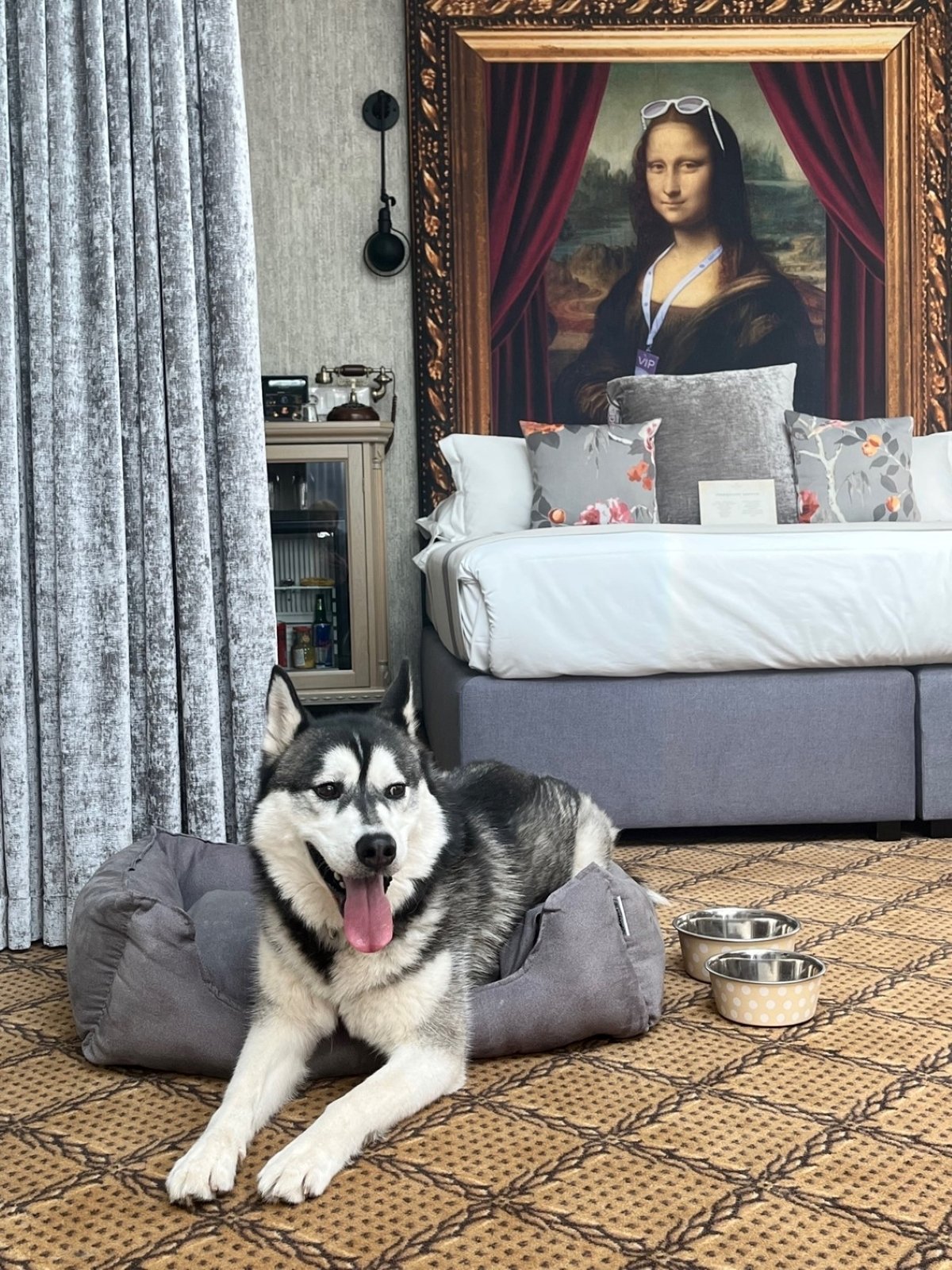 You can follow legends and mysteries with your dog in the breathtaking Mystery Hotel Budapest