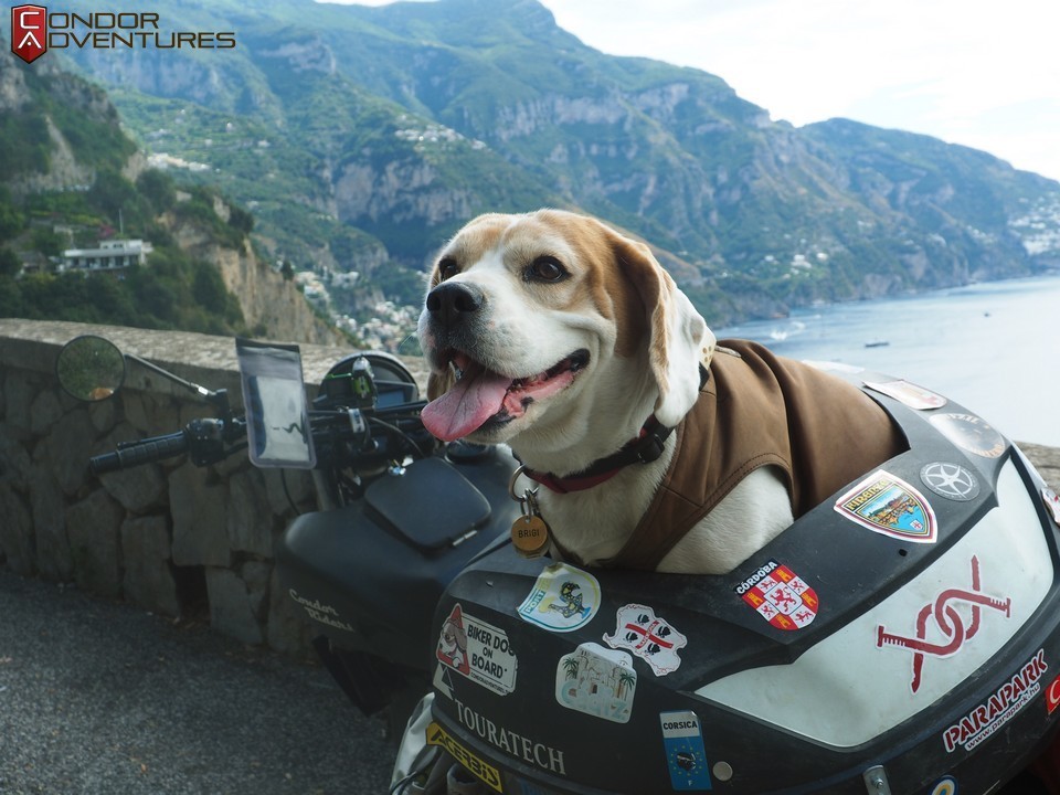 Brigi, the Biker Dog on the Italian coast