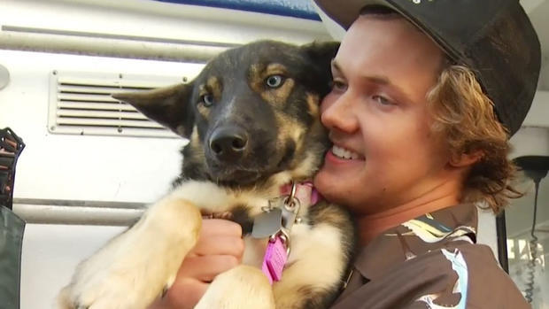 Moments of a happy reunion - Nick Haworth and Luna