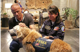 Last living rescue dog of 9/11 received Dog's Best Day