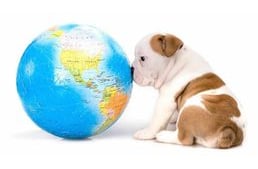 Does the love of dogs depend on where you live?