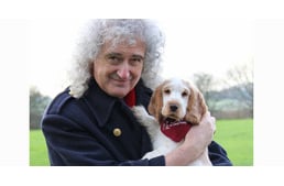 Brian May visited service dogs